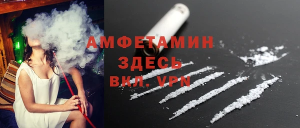прущие грибы Бородино