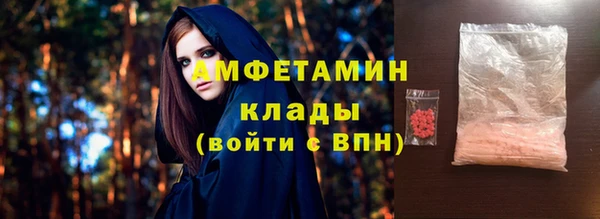 прущие грибы Бородино