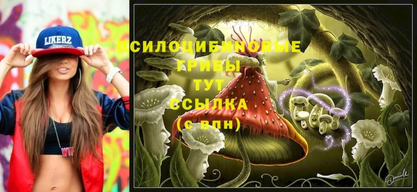 эйфоретик Бугульма