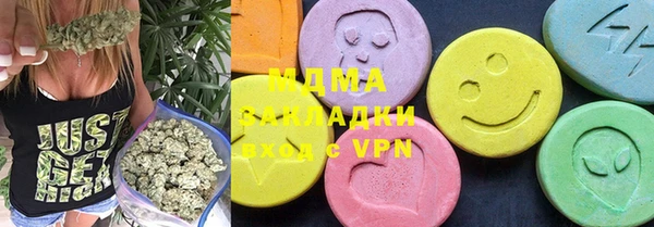 прущие грибы Бородино