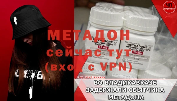 прущие грибы Бородино