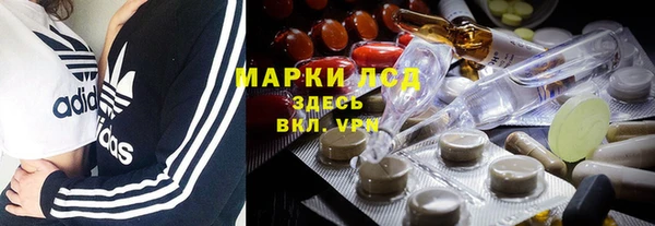прущие грибы Бородино