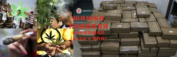 прущие грибы Бородино