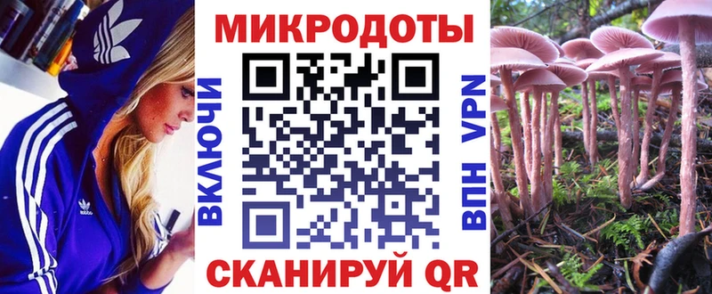 цена наркотик Дубна Галлюциногенные грибы Psilocybe